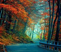Image result for Full HD Wallpapers for Computer