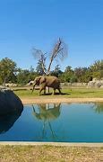 Image result for Fresno Zoo