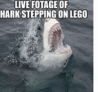 Image result for Shark Stepping On LEGO Meme