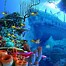 Image result for Under the Sea Pics