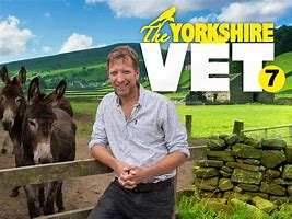 Image result for Yorkshire Vet Hugh Horse