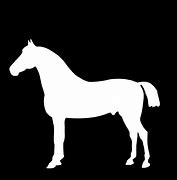 Image result for Wallpaper Racing White Horse