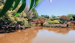Image result for Toowoomba Parks