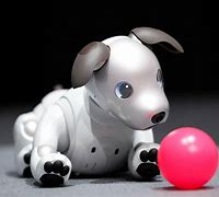 Image result for Aibo Robot Dog Dream Sleep