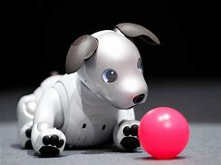 Image result for Aibo Sony Gold