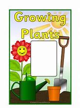 Image result for Plants Cover Page