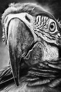 Image result for Pencil Drawings 2