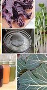 Image result for Difference Between Raw Vegan and Vegan