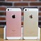 Image result for iPhone 5 SE Camera