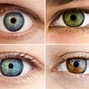 Image result for Most Common Eye Color