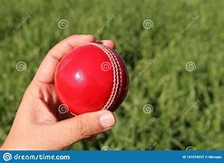 Image result for Cricket Aesthetic