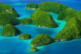 Image result for Beach Green Isles in Lagoon