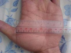 Image result for How Big Is 4 Inch
