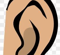 Image result for Listening Ears Clip Art