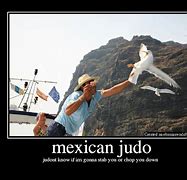 Image result for Judo Funny