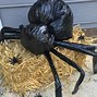 Image result for Big Spider Halloween