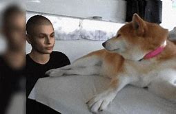 Image result for Dogs Kissing Meme