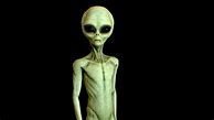 Image result for Alien Humanoid Form