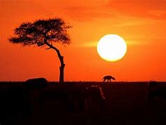 Image result for Kenya Attractions