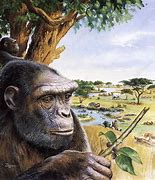 Image result for Hermit Hominid