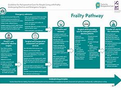 Image result for Aging Frailty