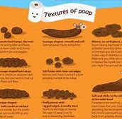 Image result for What Does Hedgehog Poop Look Like