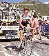 Image result for Sean Kelly PDM
