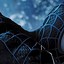 Image result for Black Spider-Man iPhone Wallpaper