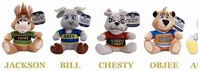 Image result for First Army Mascot