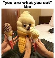 Image result for Animal Eating Meme