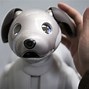 Image result for Aibo Ers-111