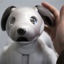 Image result for Sony Aibo First Model