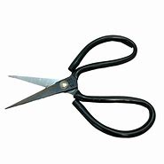 Image result for Small Sharp Scissors