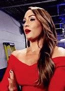 Image result for Is Nikki Bella Married