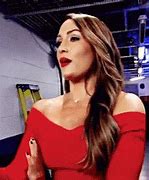 Image result for Nikki Bella Action Figure