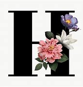 Image result for Letter H with Design
