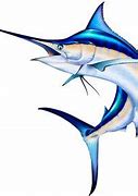 Image result for Saltwater Fishing Clip Art