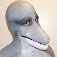 Image result for Dolphin Man Picture
