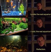 Image result for Aquariumn Meme