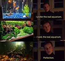 Image result for Aquarium Hobbyist Memes