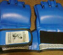 Image result for Pankration Gloves