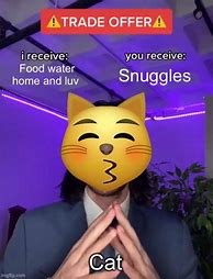 Image result for Trade Offer Cat Meme