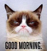 Image result for Grumpy Cat Good