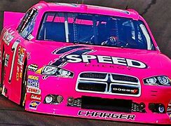 Image result for NASCAR Racers Fastex Cars