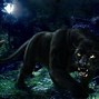 Image result for Fierce Black Panther