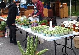 Image result for Organic Farmers Market