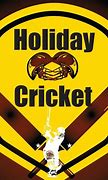 Image result for How to Build a Roof Cricket