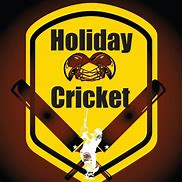 Image result for Cricket Playhouse