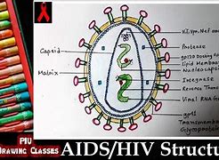 Image result for Drawing Aids