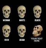 Image result for Skull Comparison 4chan Meme